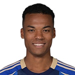 H. Mochizuki