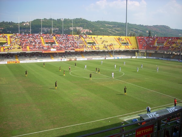 Stadio Artemio Franchi
